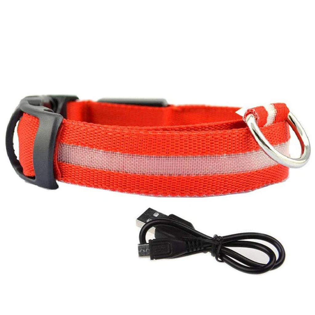 LED Light-Up Dog Collar