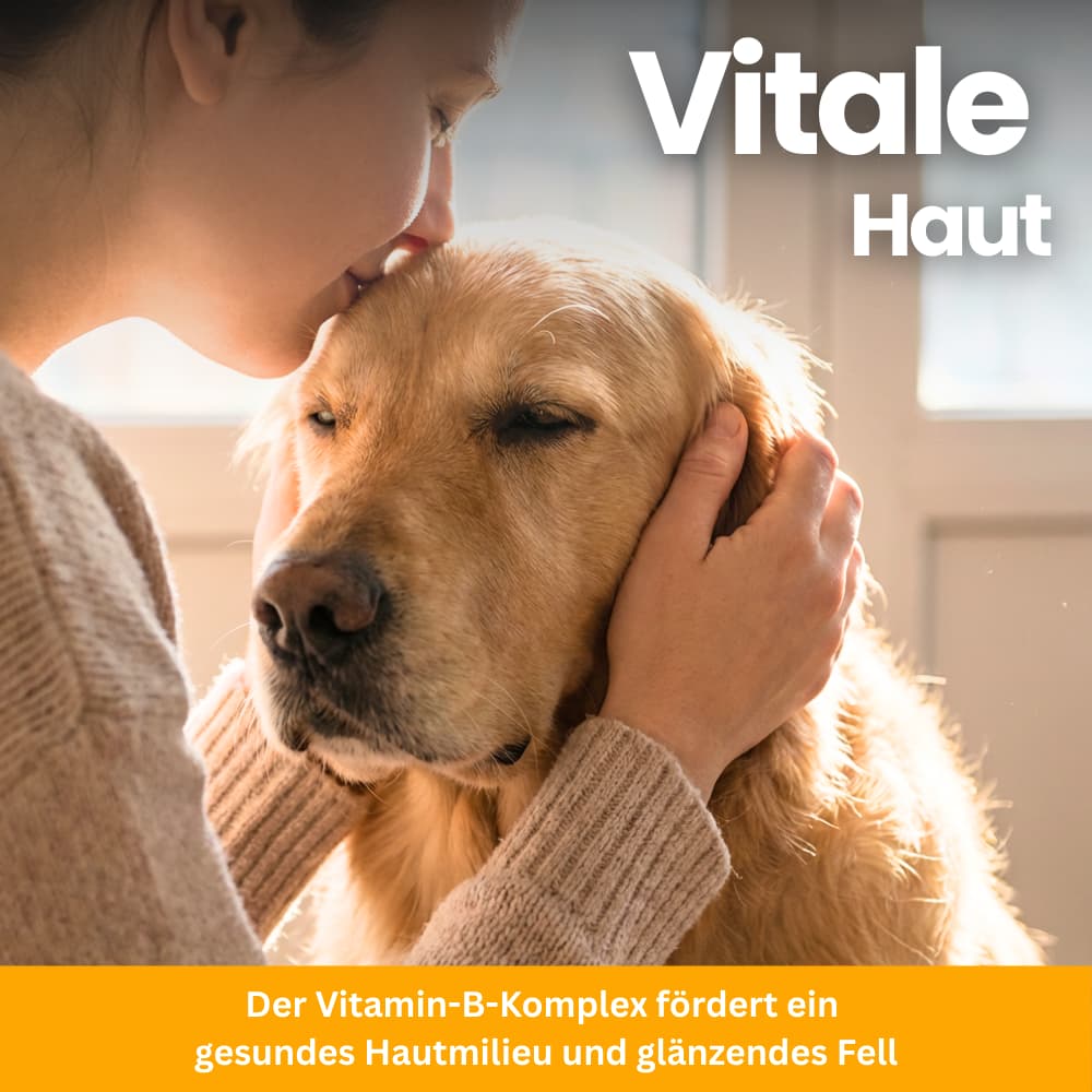 Flea & Tick Protection Chewable Tablets