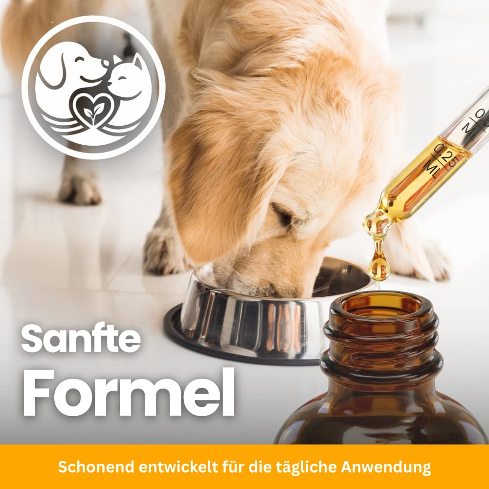 Urinary Tract Care Drops for Dogs & Cats