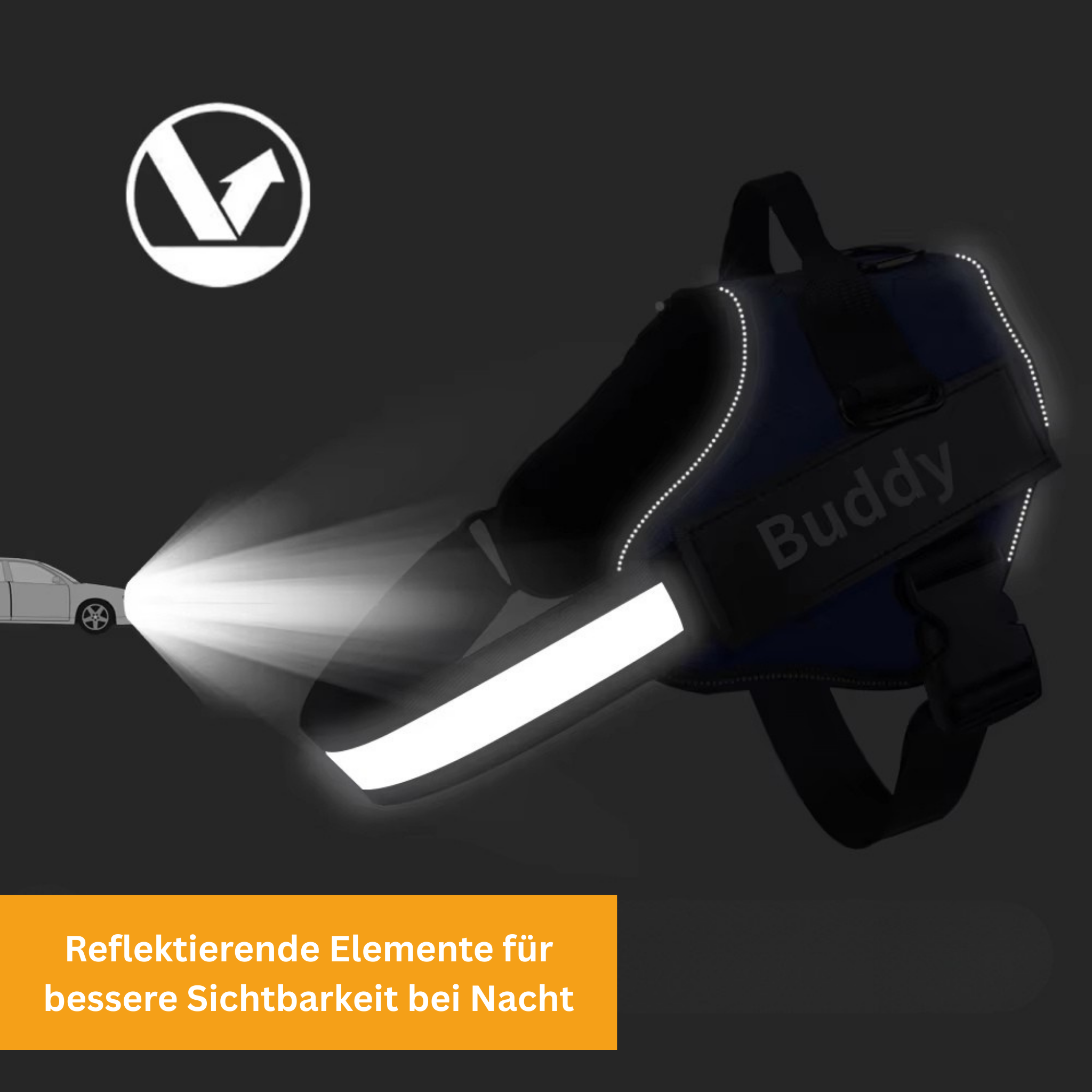 Personalized No-Pull Dog Harness