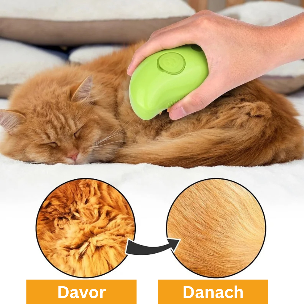 Cat Brush Steamy