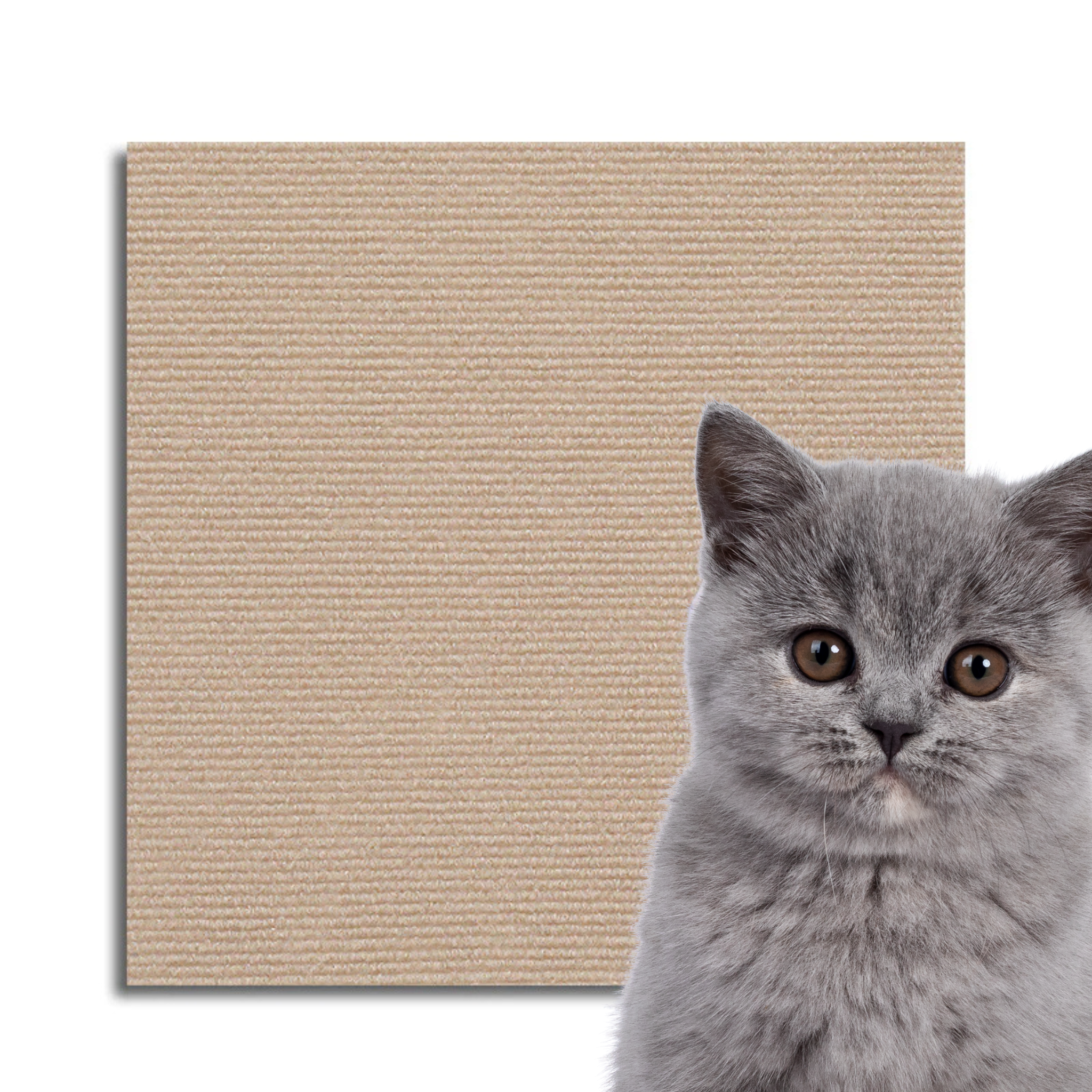 Universal Cat Scratch Guard