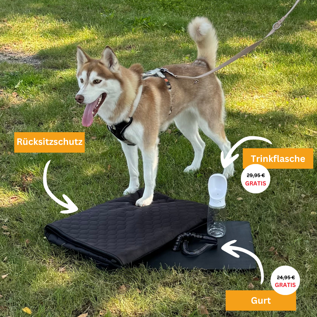 Stable Backseat Protector – Bundle