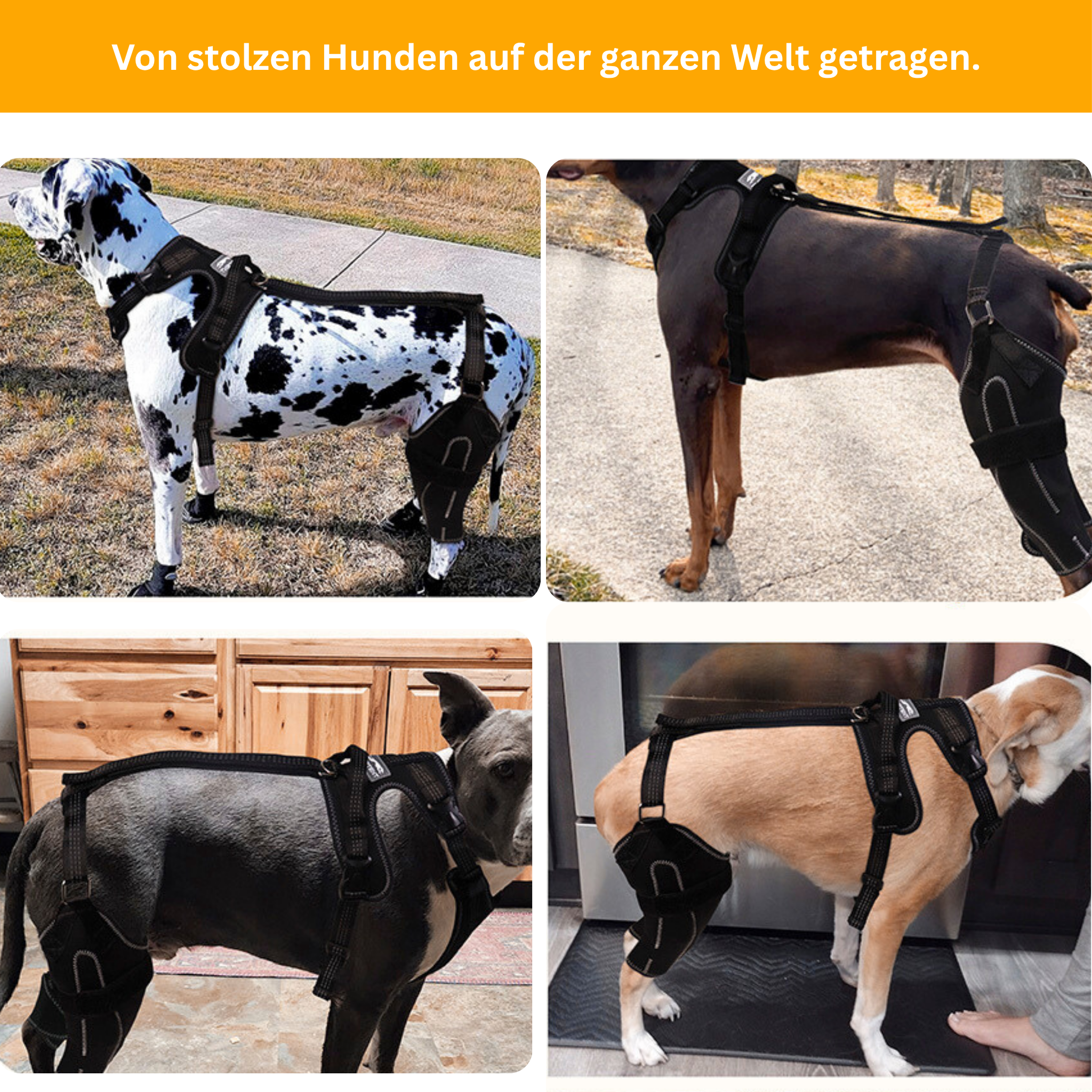 DualBrace – Hinged Leg Brace