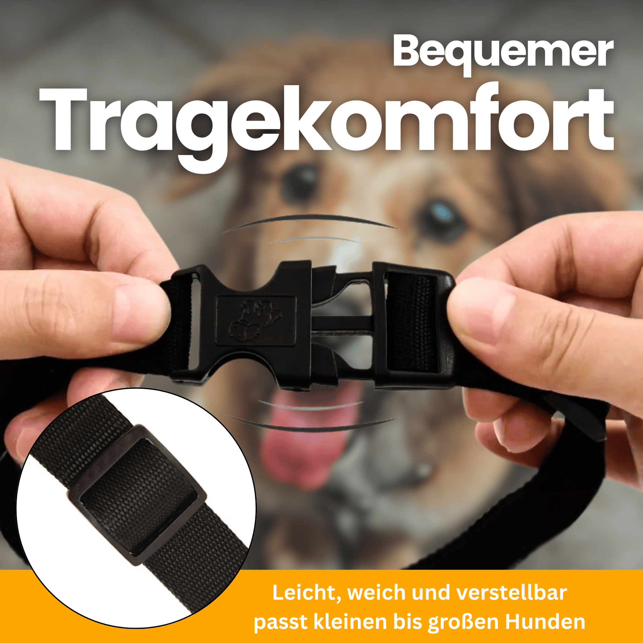 LED Light-Up Collar Pro