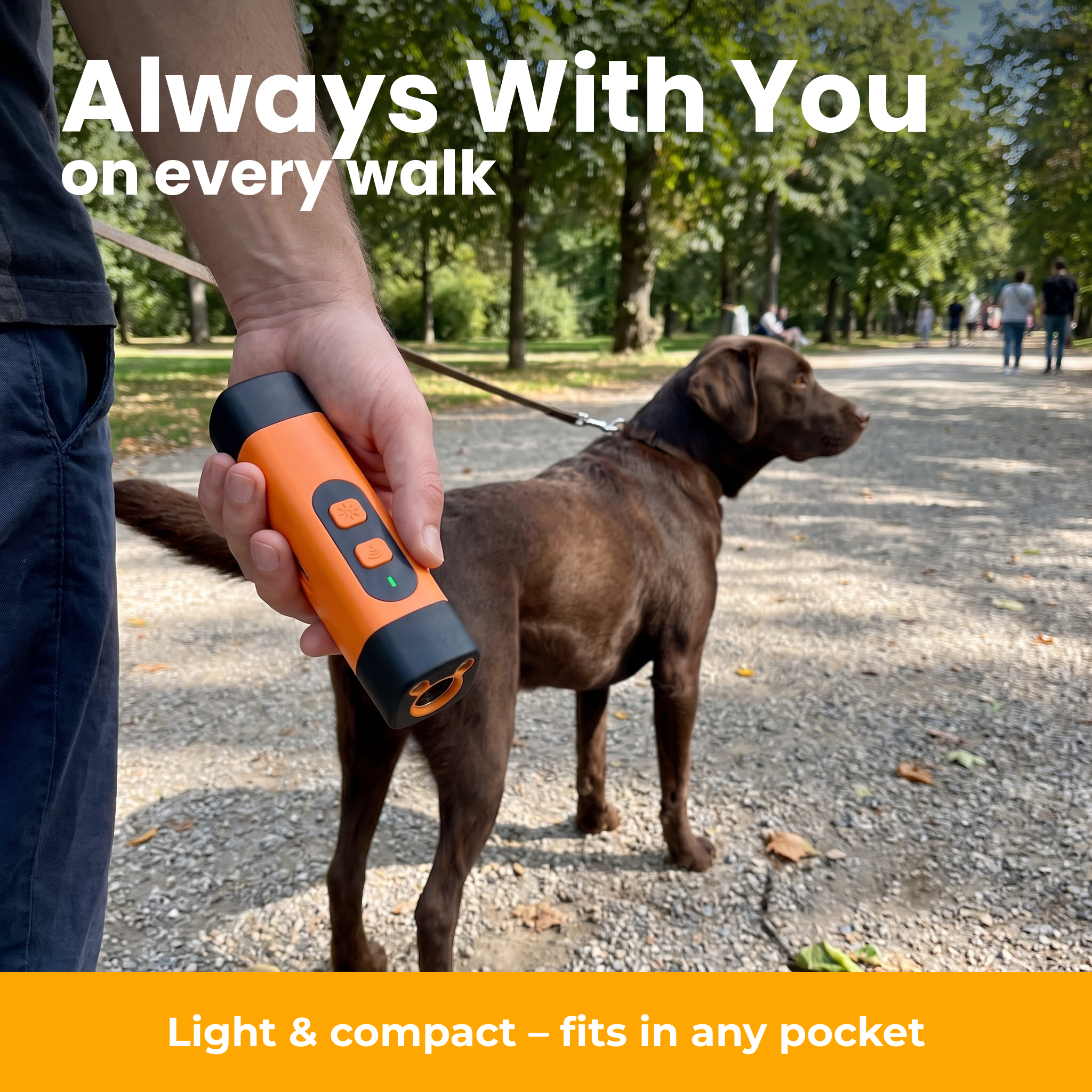 [en] Always with you on every walk