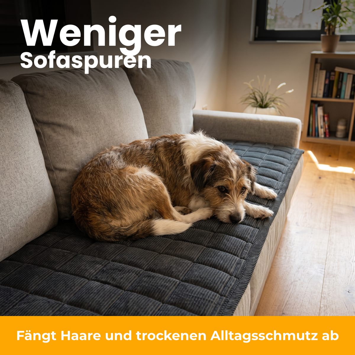 [de] CouchSafe – weniger Sofaspuren