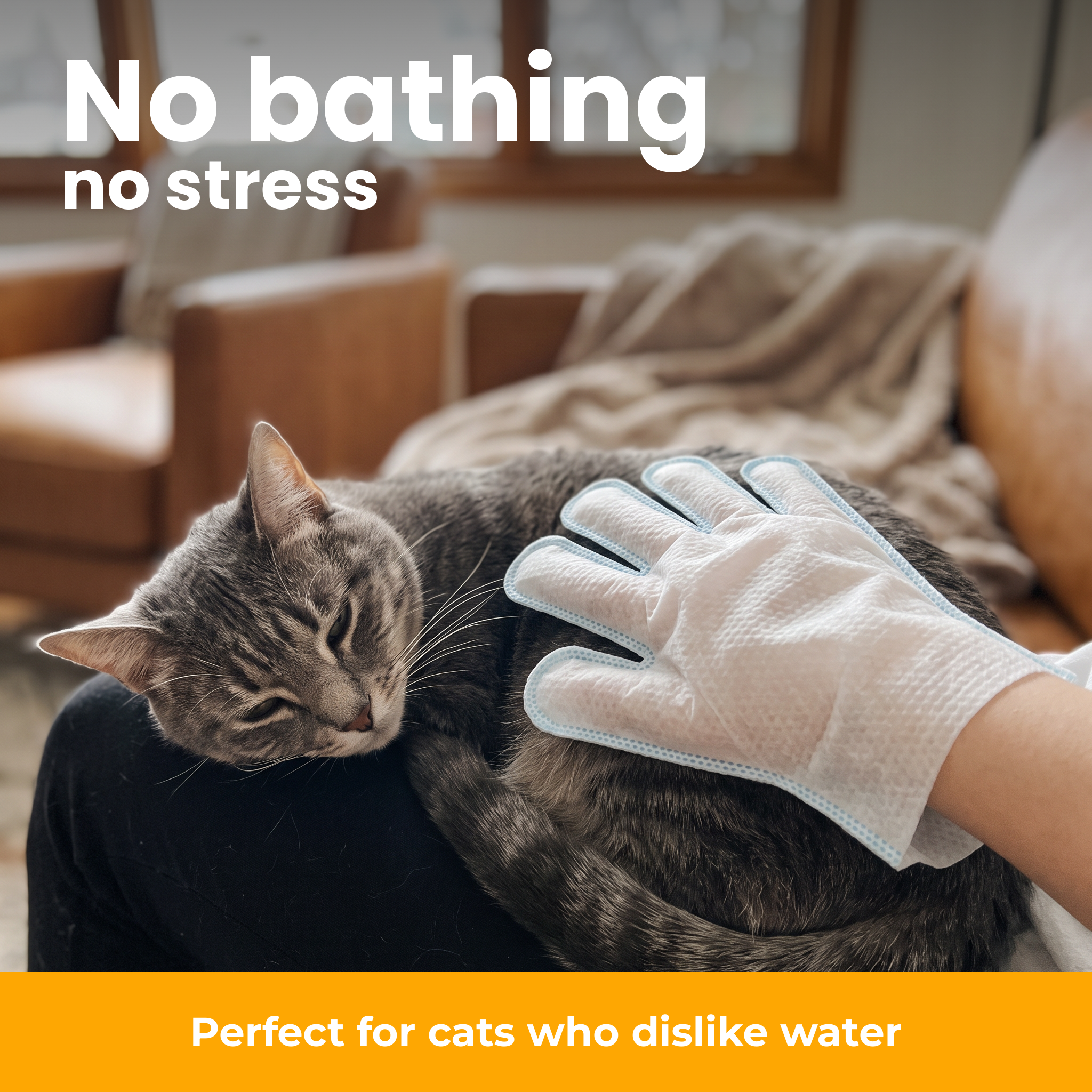 [en] Coat care for cats without bathing or stress