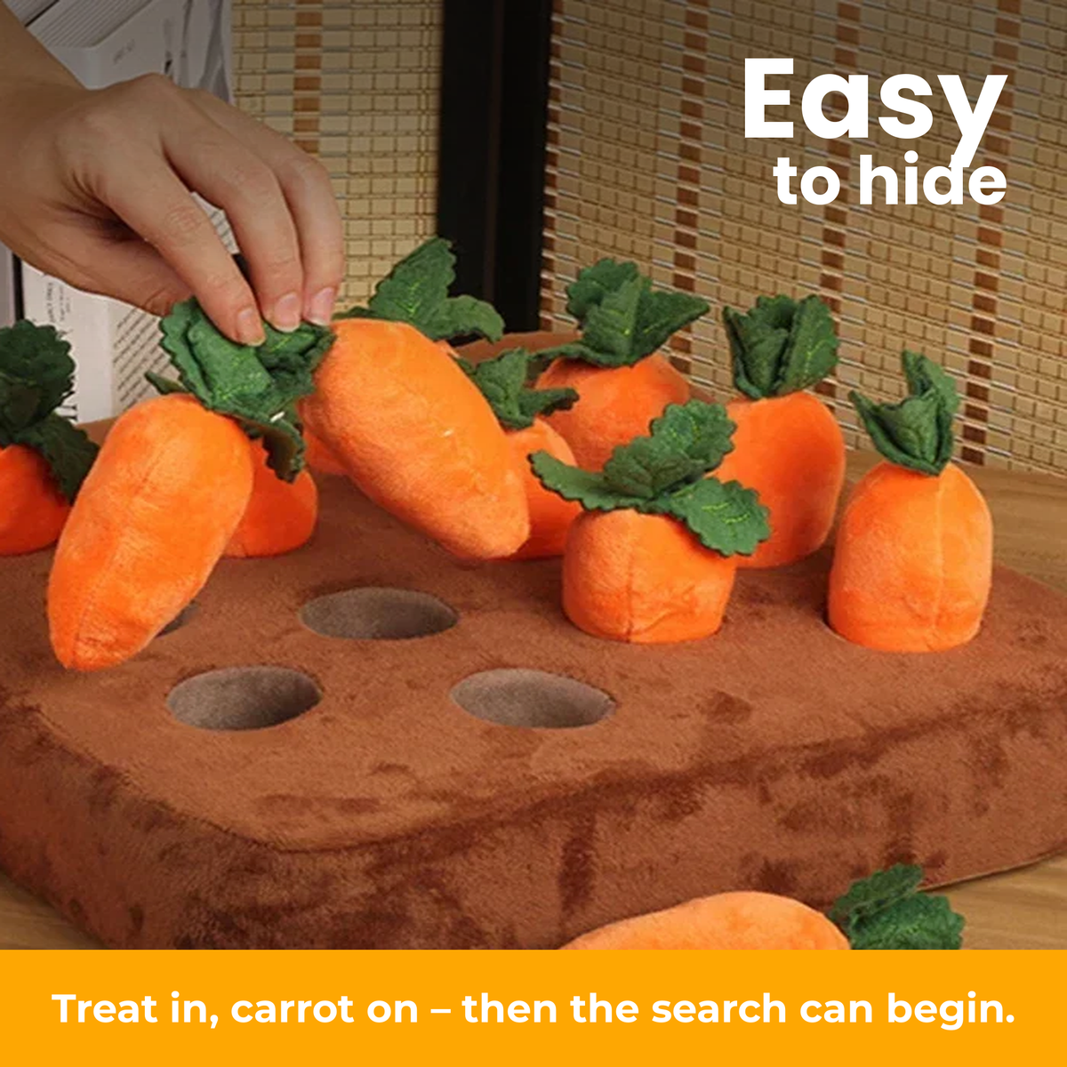 [en] Treats hidden beneath the carrots