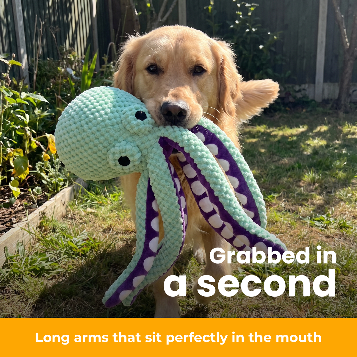 [en] Squiddy plush octopus – 05-fetch