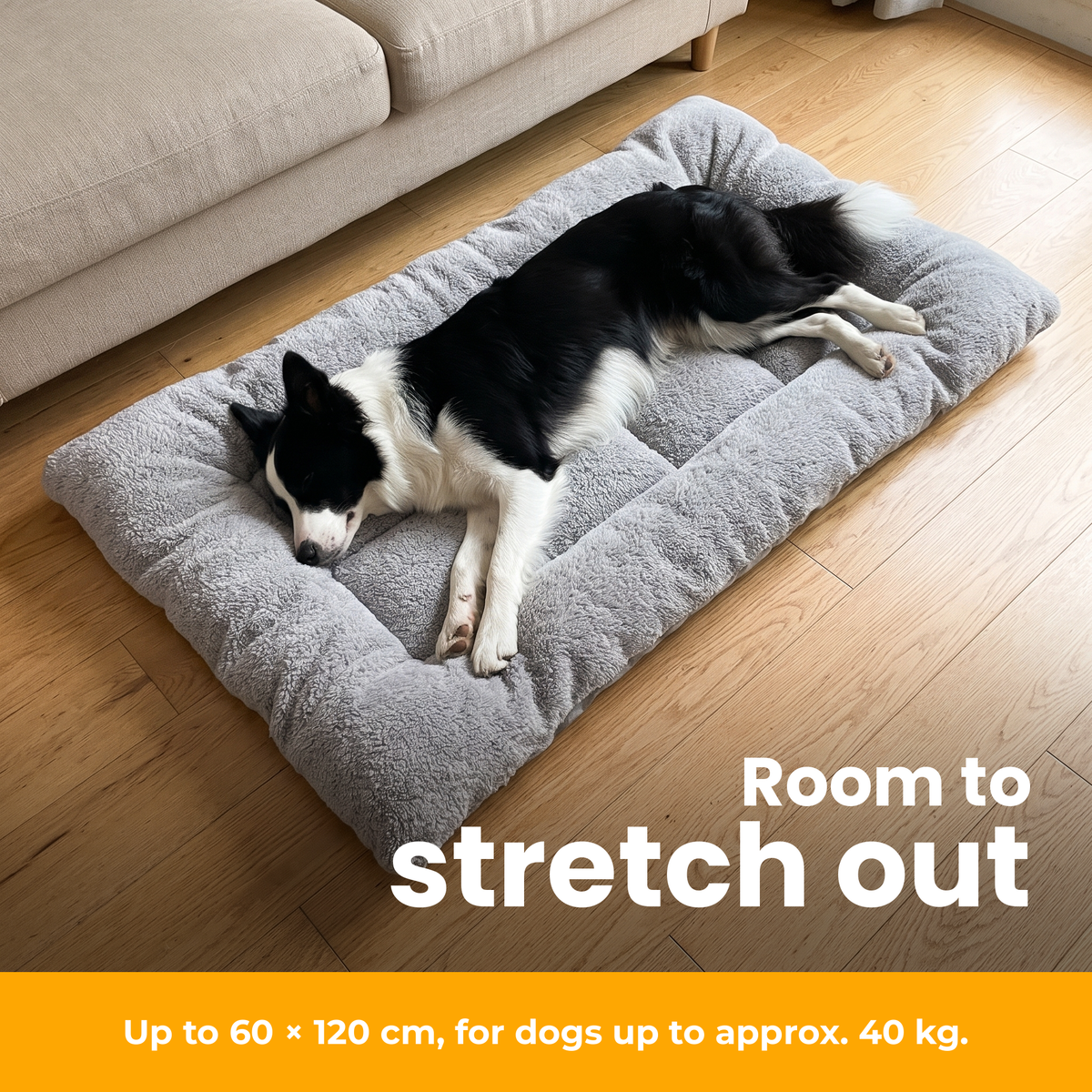 [en] TeddyBed – Border Collie stretched out in the TeddyBed, size L