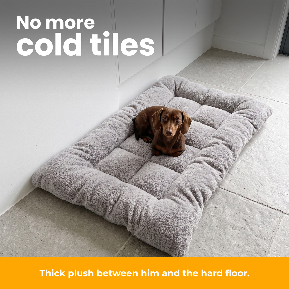 [en] TeddyBed – Dachshund lying in the TeddyBed on cold tiles